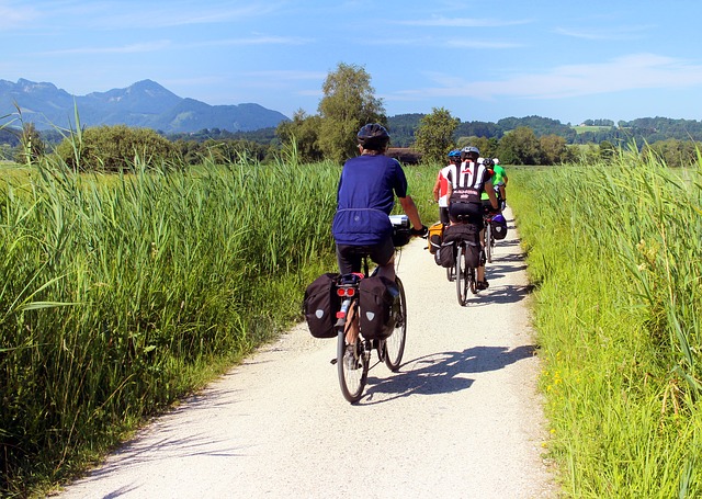 A bicycle tour of Berlin's something for the whole family, friends and colleagues